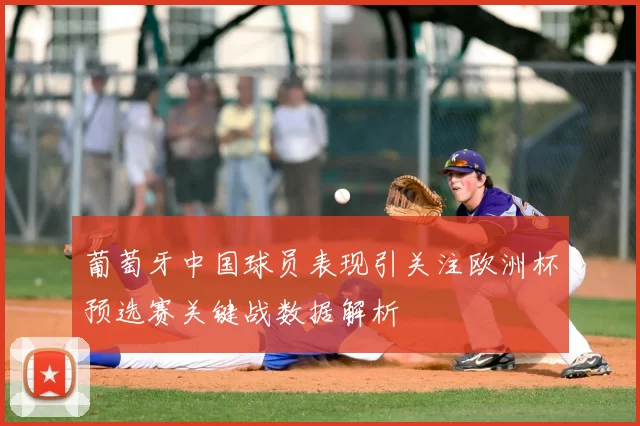 葡萄牙中国球员表现引关注欧洲杯预选赛关键战数据解析