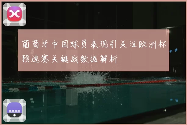 葡萄牙中国球员表现引关注欧洲杯预选赛关键战数据解析