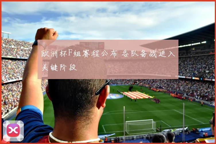欧洲杯F组赛程公布 各队备战进入关键阶段